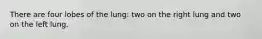 There are four lobes of the lung: two on the right lung and two on the left lung.