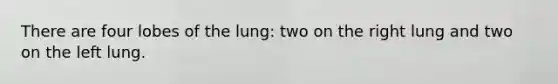 There are four lobes of the lung: two on the right lung and two on the left lung.