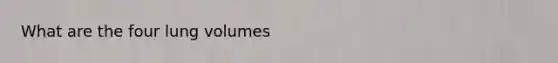 What are the four lung volumes