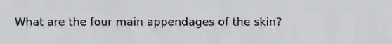 What are the four main appendages of the skin?