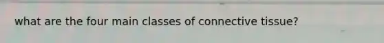 what are the four main classes of connective tissue?