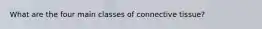 What are the four main classes of connective tissue?
