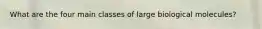 What are the four main classes of large biological molecules?