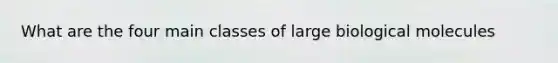 What are the four main classes of large biological molecules