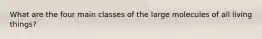 What are the four main classes of the large molecules of all living things?