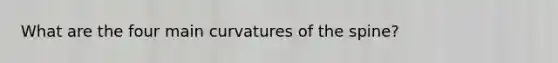 What are the four main curvatures of the spine?