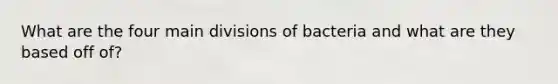 What are the four main divisions of bacteria and what are they based off of?