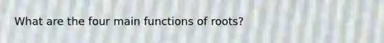 What are the four main functions of roots?