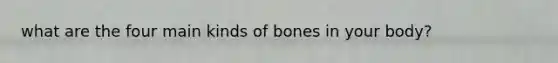 what are the four main kinds of bones in your body?