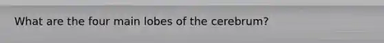 What are the four main lobes of the cerebrum?