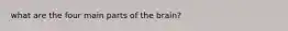 what are the four main parts of the brain?