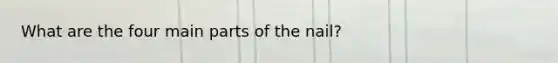 What are the four main parts of the nail?