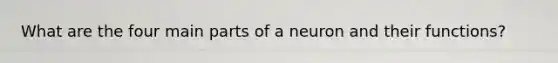 What are the four main parts of a neuron and their functions?