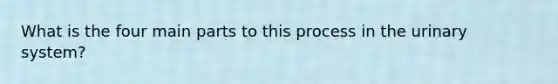 What is the four main parts to this process in the urinary system?