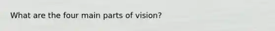 What are the four main parts of vision?