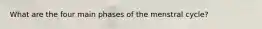 What are the four main phases of the menstral cycle?