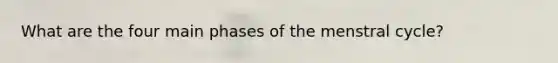 What are the four main phases of the menstral cycle?