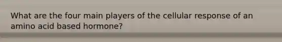 What are the four main players of the cellular response of an amino acid based hormone?