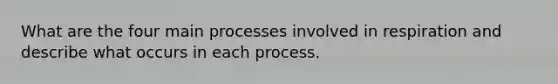 What are the four main processes involved in respiration and describe what occurs in each process.