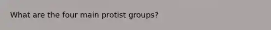 What are the four main protist groups?