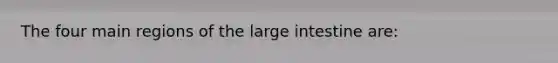 The four main regions of the large intestine are: