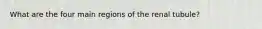 What are the four main regions of the renal tubule?