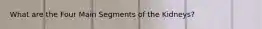 What are the Four Main Segments of the Kidneys?