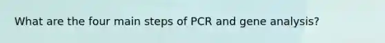 What are the four main steps of PCR and gene analysis?