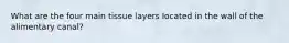 What are the four main tissue layers located in the wall of the alimentary canal?