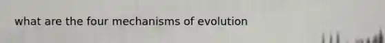 what are the four <a href='https://www.questionai.com/knowledge/ksd1BX7tH4-mechanisms-of-evolution' class='anchor-knowledge'>mechanisms of evolution</a>