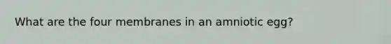 What are the four membranes in an amniotic egg?