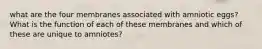 what are the four membranes associated with amniotic eggs? What is the function of each of these membranes and which of these are unique to amniotes?