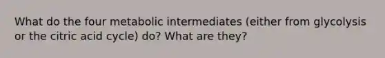 What do the four metabolic intermediates (either from glycolysis or the citric acid cycle) do? What are they?