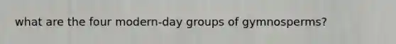 what are the four modern-day groups of gymnosperms?