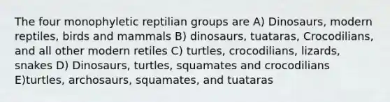 The four monophyletic reptilian groups are A) Dinosaurs, modern reptiles, birds and mammals B) dinosaurs, tuataras, Crocodilians, and all other modern retiles C) turtles, crocodilians, lizards, snakes D) Dinosaurs, turtles, squamates and crocodilians E)turtles, archosaurs, squamates, and tuataras