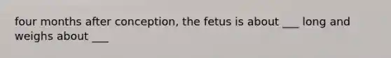 four months after conception, the fetus is about ___ long and weighs about ___