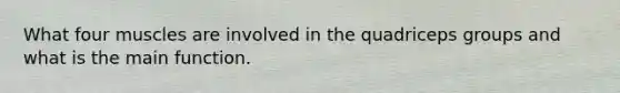 What four muscles are involved in the quadriceps groups and what is the main function.