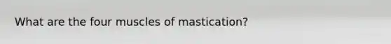 What are the four muscles of mastication?