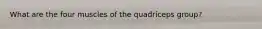 What are the four muscles of the quadriceps group?