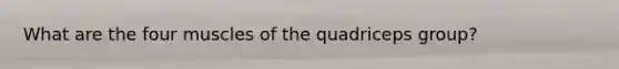 What are the four muscles of the quadriceps group?