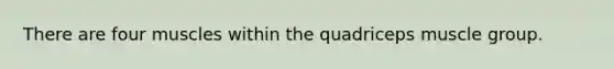 There are four muscles within the quadriceps muscle group.