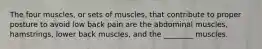 The four muscles, or sets of muscles, that contribute to proper posture to avoid low back pain are the abdominal muscles, hamstrings, lower back muscles, and the ________ muscles.