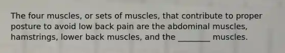 The four muscles, or sets of muscles, that contribute to proper posture to avoid low back pain are the abdominal muscles, hamstrings, lower back muscles, and the ________ muscles.