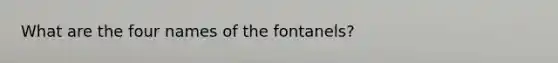 What are the four names of the fontanels?