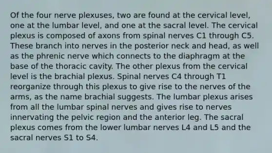 Of the four nerve plexuses, two are found at the cervical level, one at the lumbar level, and one at the sacral level. The cervical plexus is composed of axons from spinal nerves C1 through C5. These branch into nerves in the posterior neck and head, as well as the phrenic nerve which connects to the diaphragm at the base of the thoracic cavity. The other plexus from the cervical level is the brachial plexus. Spinal nerves C4 through T1 reorganize through this plexus to give rise to the nerves of the arms, as the name brachial suggests. The lumbar plexus arises from all the lumbar spinal nerves and gives rise to nerves innervating the pelvic region and the anterior leg. The sacral plexus comes from the lower lumbar nerves L4 and L5 and the sacral nerves S1 to S4.