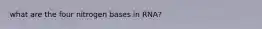 what are the four nitrogen bases in RNA?