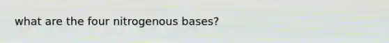 what are the four nitrogenous bases?