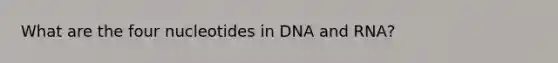 What are the four nucleotides in DNA and RNA?