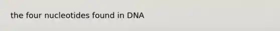 the four nucleotides found in DNA