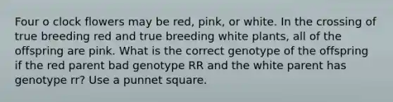 Four o clock flowers may be red, pink, or white. In the crossing of true breeding red and true breeding white plants, all of the offspring are pink. What is the correct genotype of the offspring if the red parent bad genotype RR and the white parent has genotype rr? Use a punnet square.